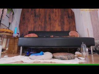 mollyflwers | mollychan | chaturbate